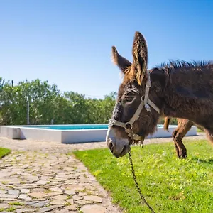 Farm stay Burro By Host Wise, Portimao